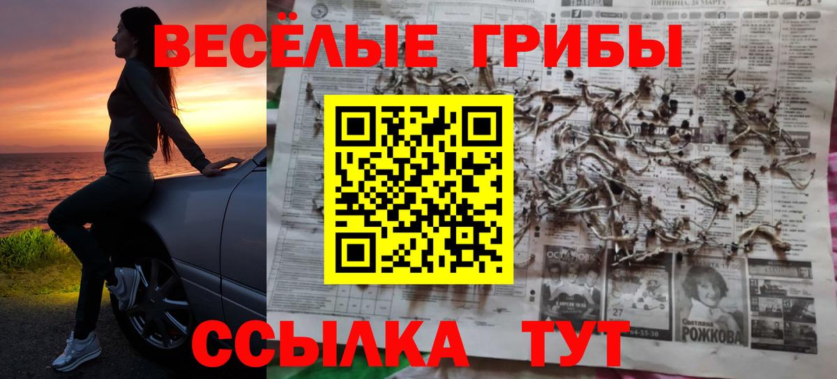 Псилоцибиновые грибы MAGIC MUSHROOMS  Вход с VPN  купить наркотики цена  Копейск 